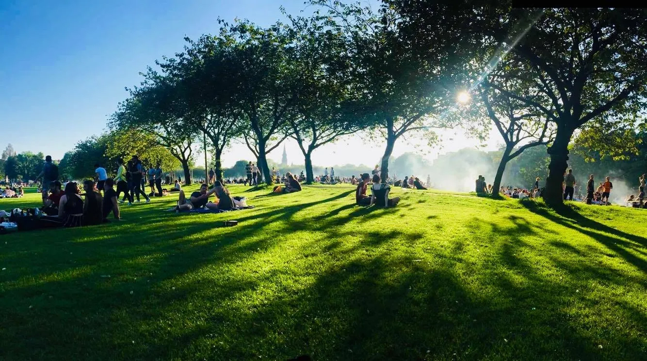 summer picnics 