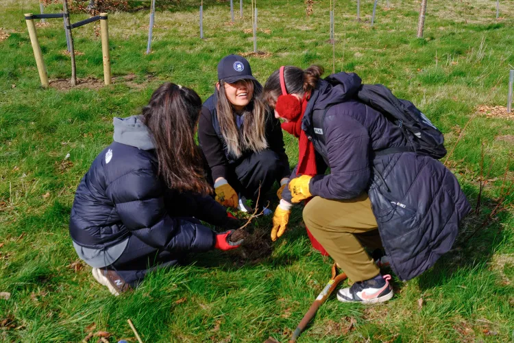 Staff and students plant trees for the Big Dig 2026